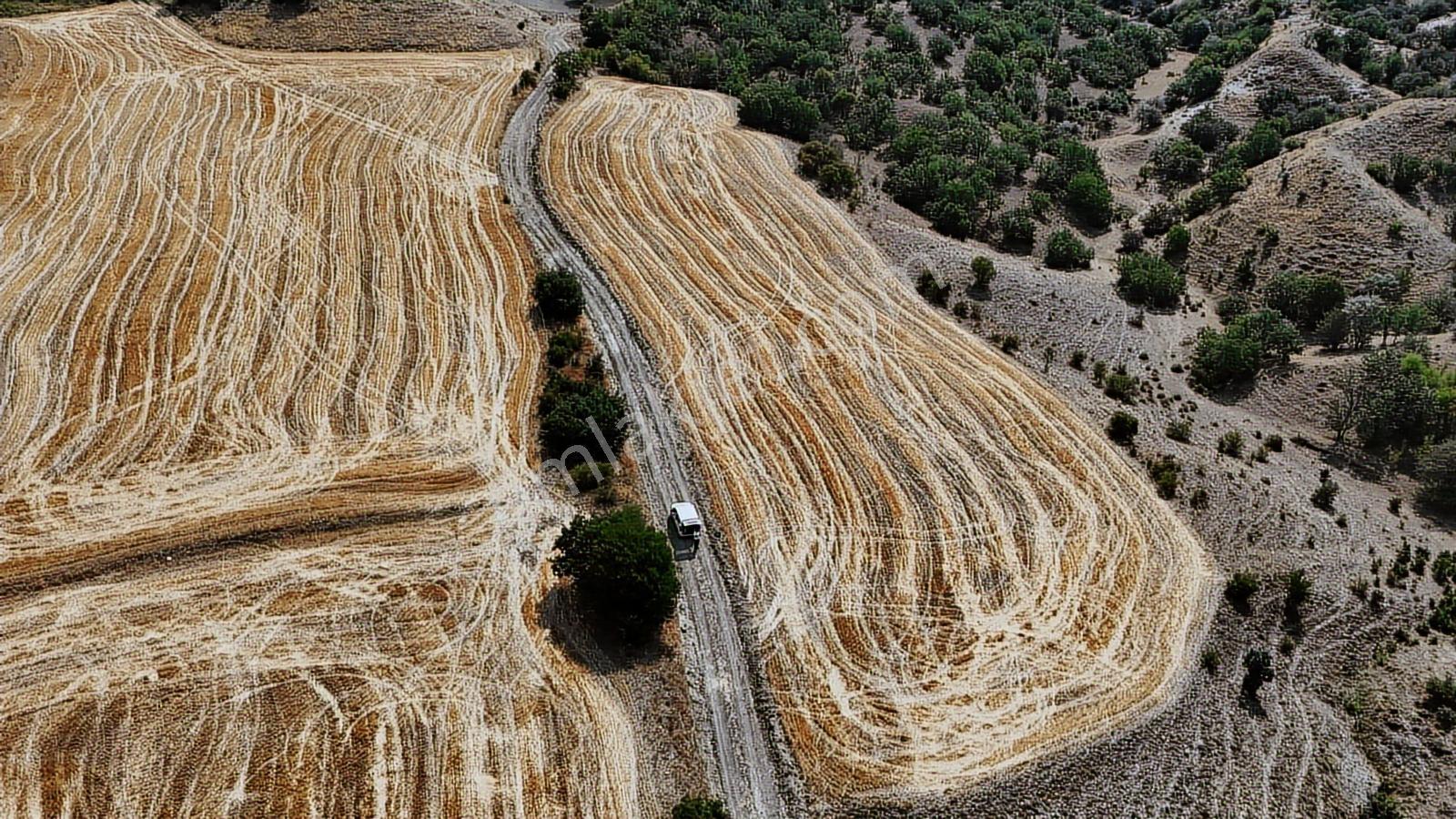 Kredi Kart Satış Sabanözü Gürpınar 7429mt Resmi Yola Cepheli - Görsel 19