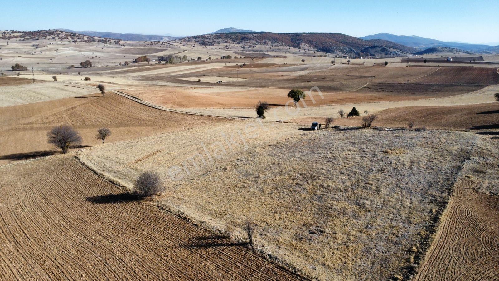 Afyon Hocalar İhsaniye Resmi Yola Cephe 3355mt Arazi Hocalar 6dk - Görsel 11
