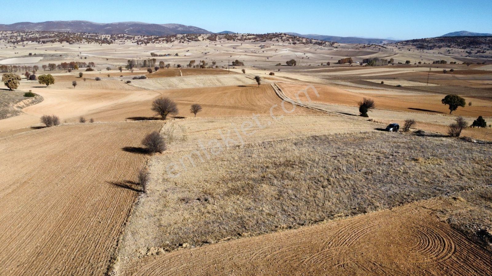 Afyon Hocalar İhsaniye Resmi Yola Cephe 3355mt Arazi Hocalar 6dk - Görsel 32