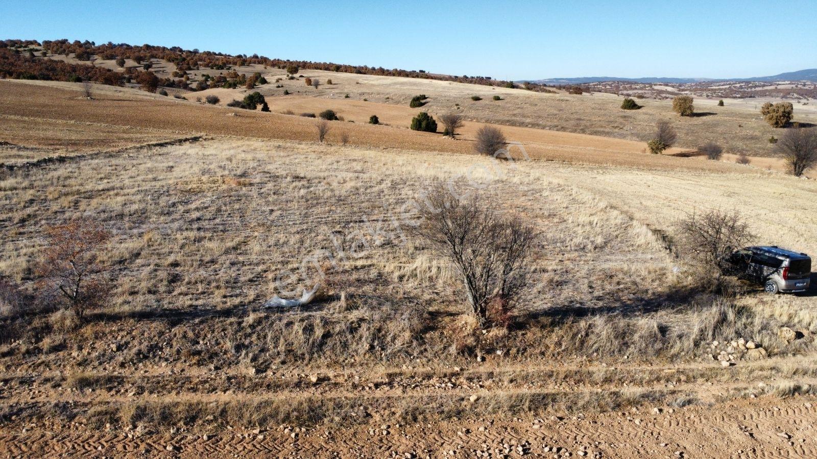 Afyon Hocalar İhsaniye Resmi Yola Cephe 3355mt Arazi Hocalar 6dk - Görsel 27