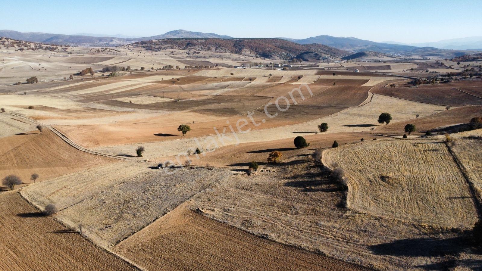 Afyon Hocalar İhsaniye Resmi Yola Cephe 3355mt Arazi Hocalar 6dk - Görsel 8
