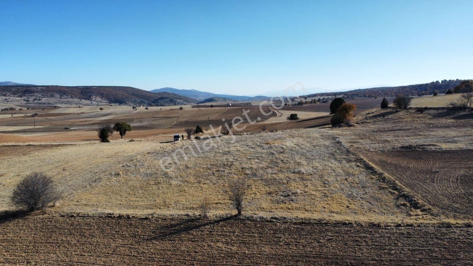 Afyon Hocalar İhsaniye Resmi Yola Cephe 3355mt Arazi Hocalar 6dk - Görsel 16