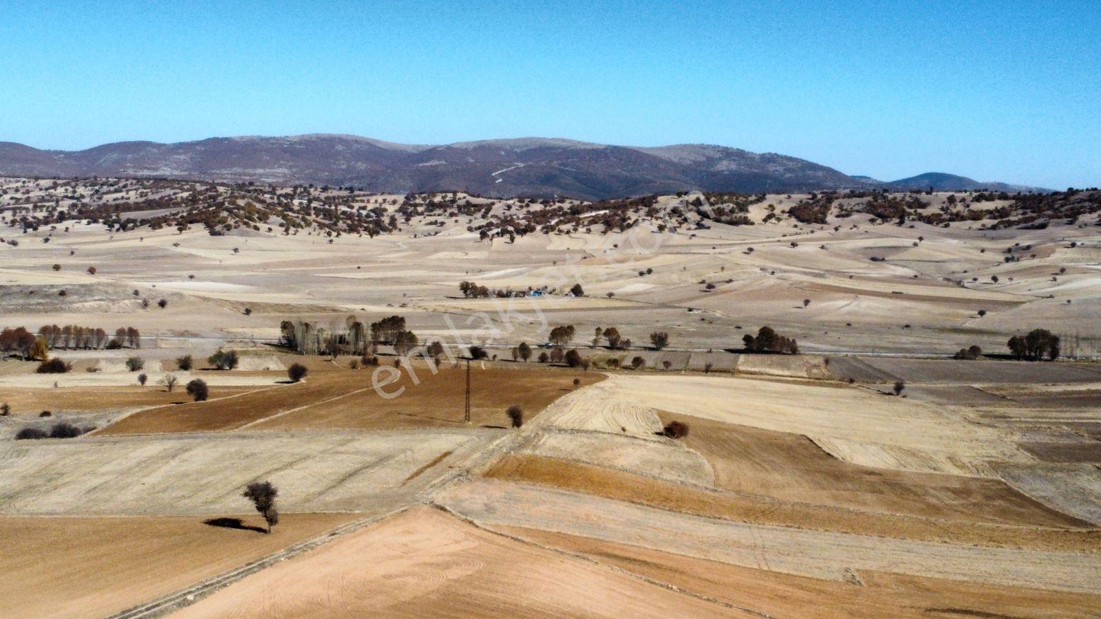 Afyon Hocalar İhsaniye Resmi Yola Cephe 3355mt Arazi Hocalar 6dk - Görsel 38