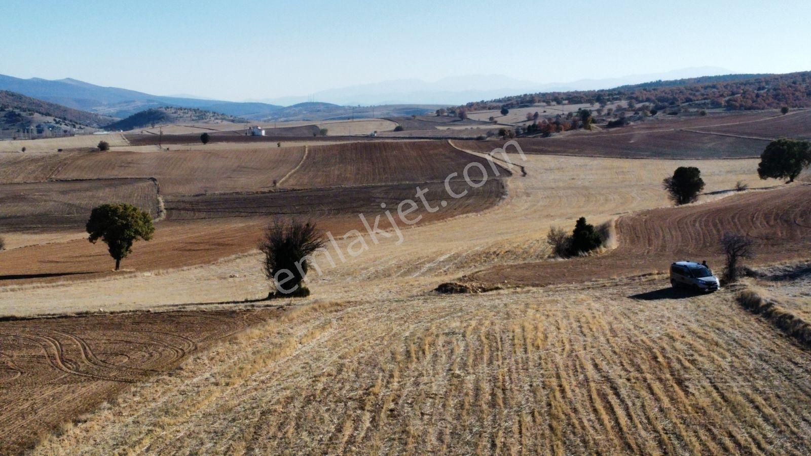 Afyon Hocalar İhsaniye Resmi Yola Cephe 3355mt Arazi Hocalar 6dk - Görsel 28