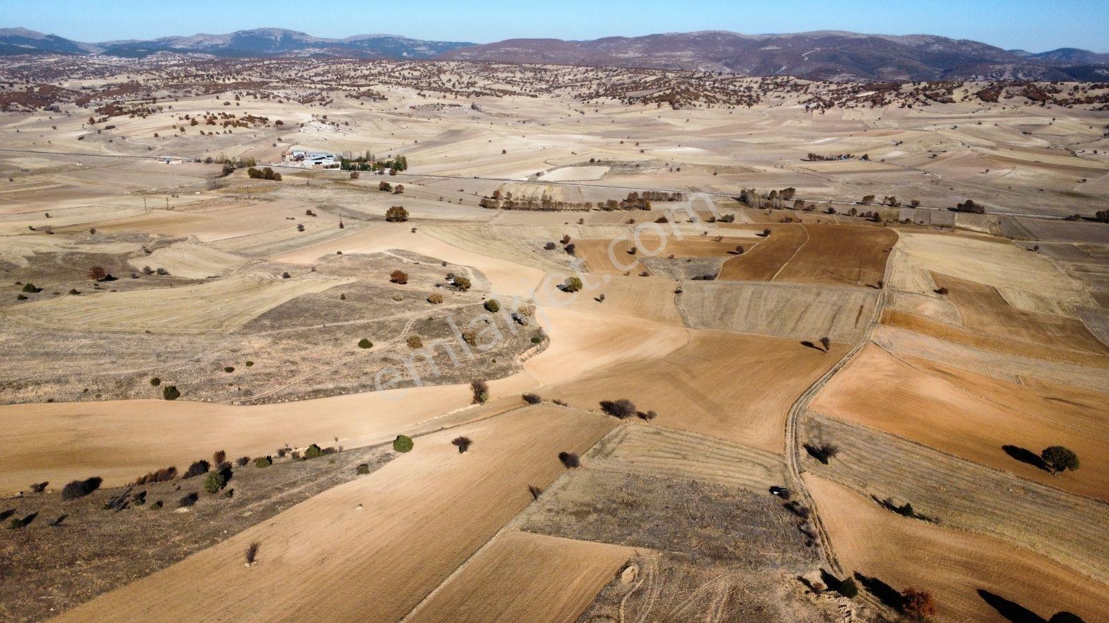 Afyon Hocalar İhsaniye Resmi Yola Cephe 3355mt Arazi Hocalar 6dk - Görsel 23