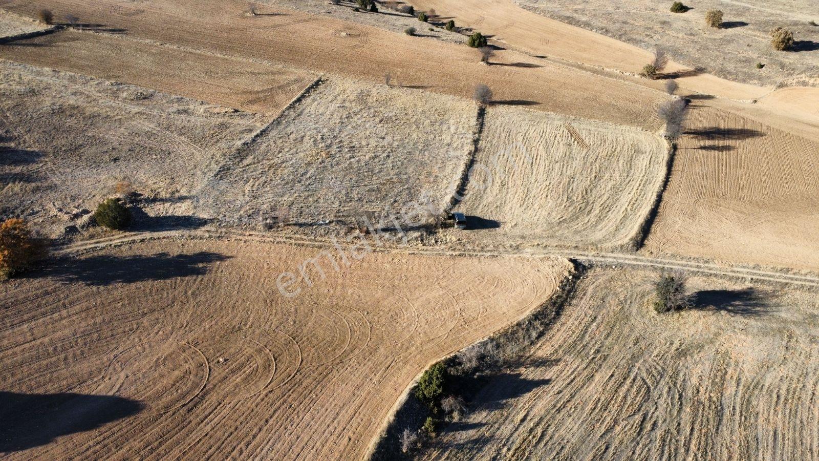 Afyon Hocalar İhsaniye Resmi Yola Cephe 3355mt Arazi Hocalar 6dk - Görsel 5