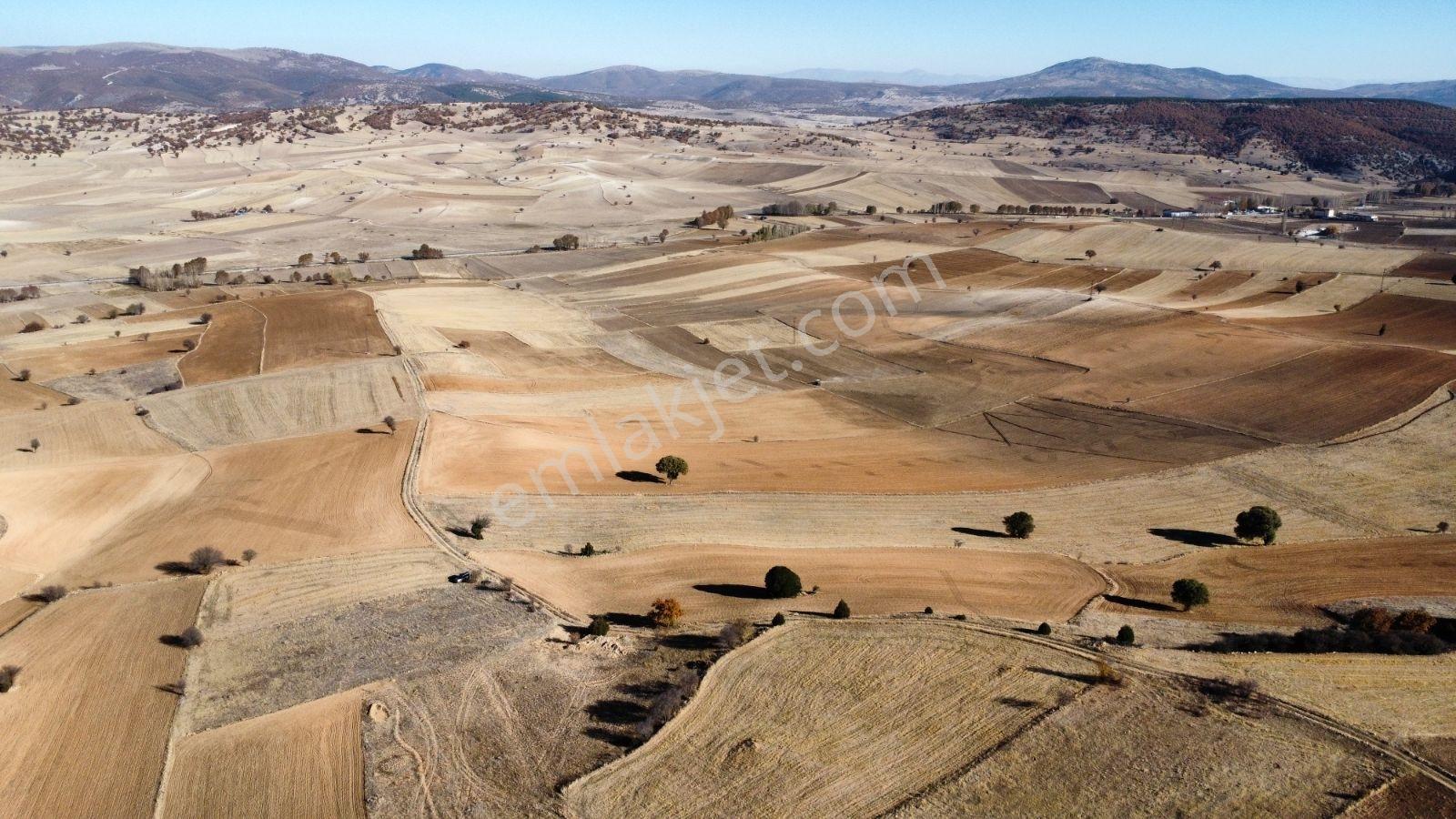 Afyon Hocalar İhsaniye Resmi Yola Cephe 3355mt Arazi Hocalar 6dk - Görsel 37