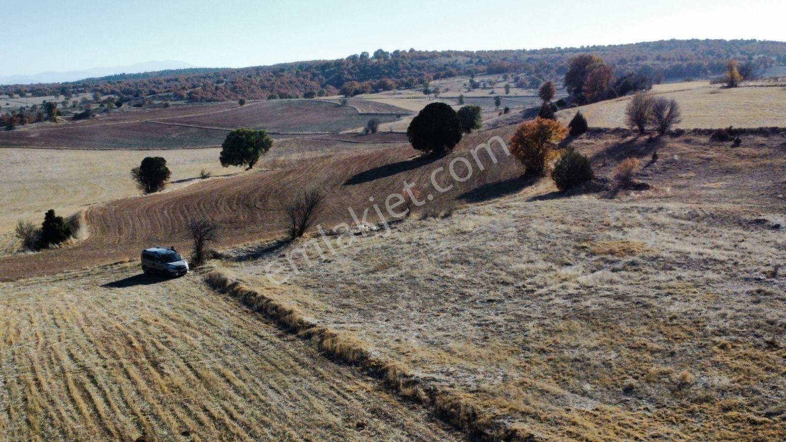 Afyon Hocalar İhsaniye Resmi Yola Cephe 3355mt Arazi Hocalar 6dk - Görsel 14