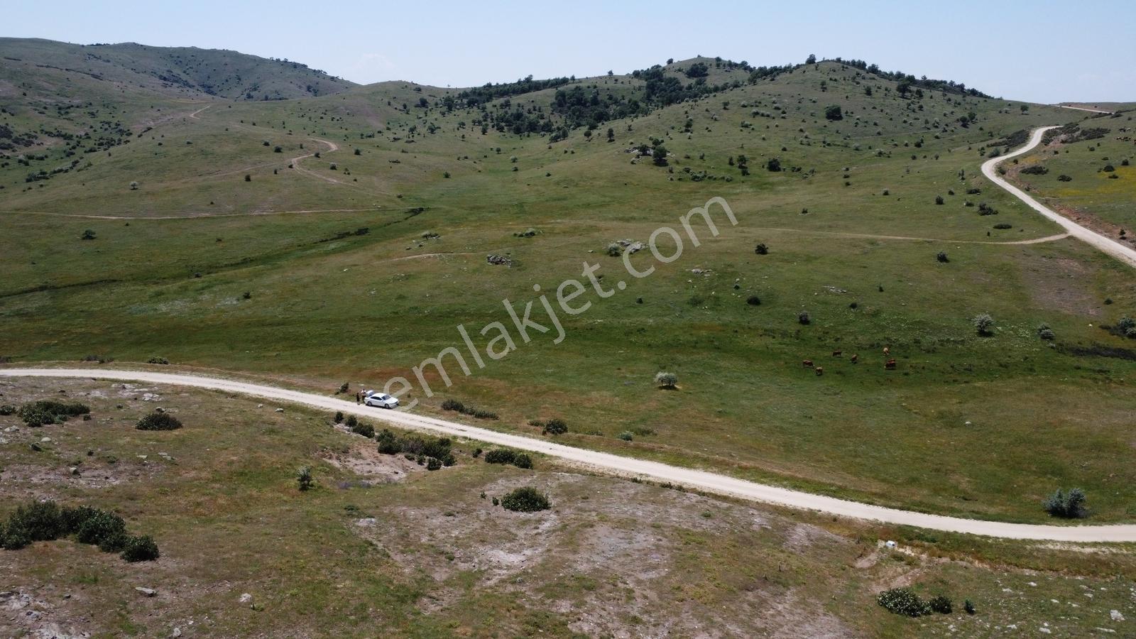 Afyonkarahisar Merkez Alacalı 3621 M2 Resmi Yola Cepheli Arazi - Görsel 14
