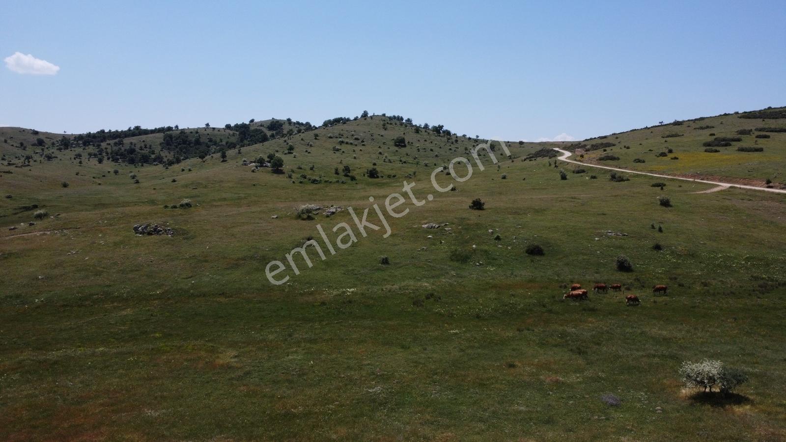 Afyonkarahisar Merkez Alacalı 3621 M2 Resmi Yola Cepheli Arazi - Görsel 19