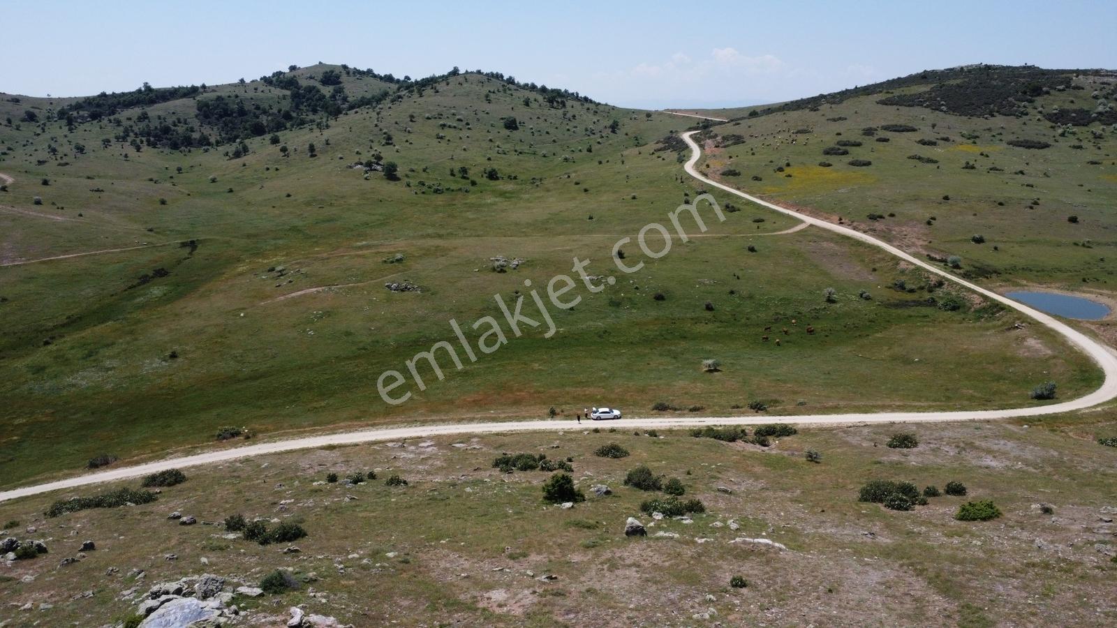 Afyonkarahisar Merkez Alacalı 3621 M2 Resmi Yola Cepheli Arazi - Görsel 10