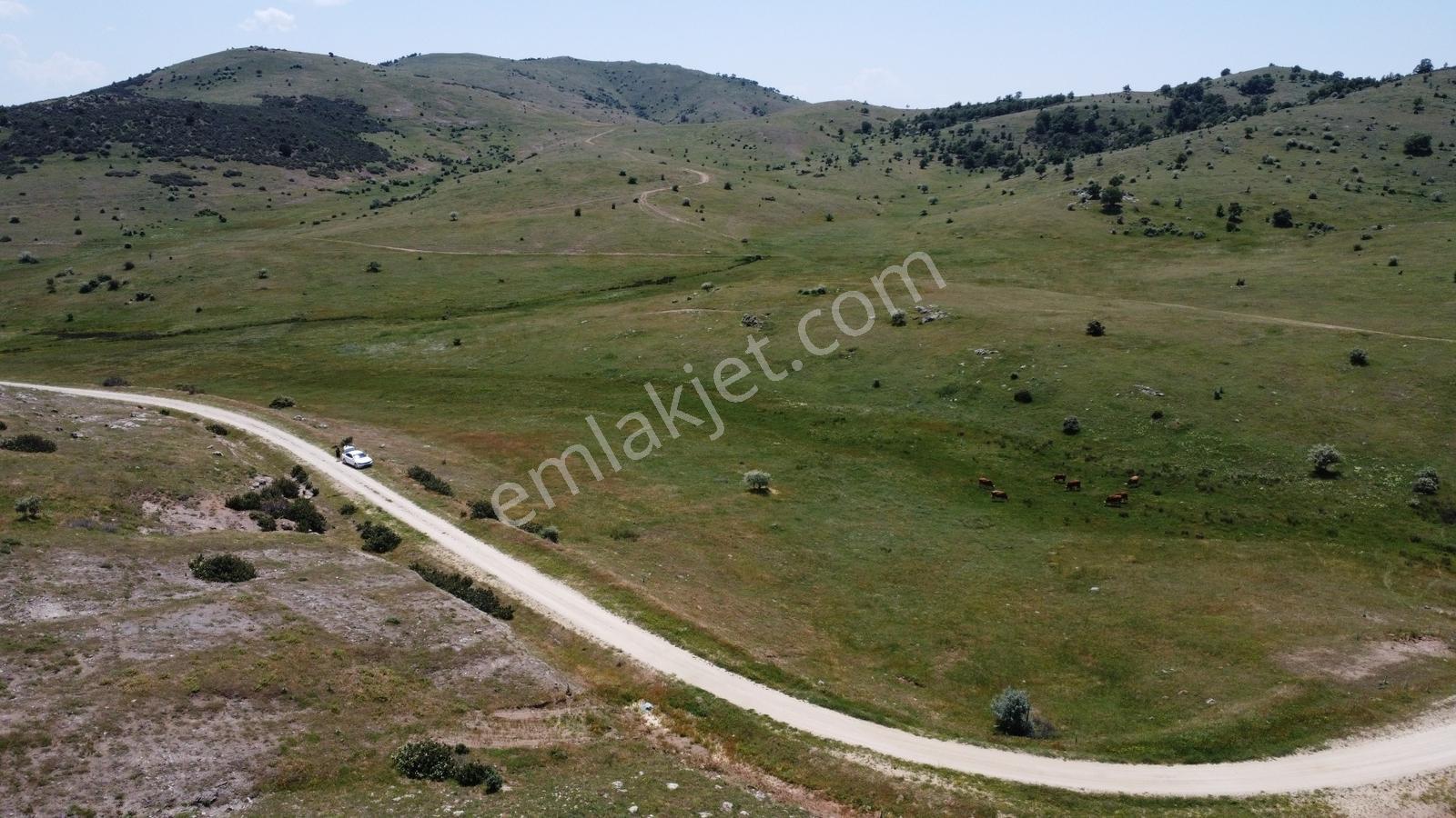 Afyonkarahisar Merkez Alacalı 3621 M2 Resmi Yola Cepheli Arazi - Görsel 13
