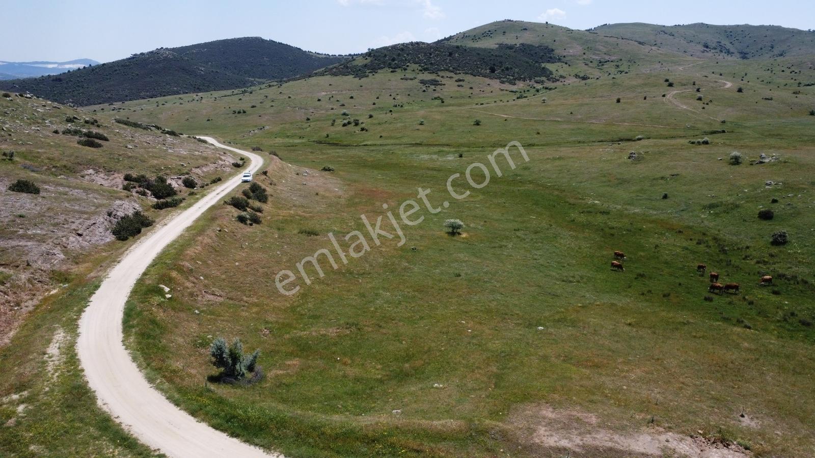 Afyonkarahisar Merkez Alacalı 3621 M2 Resmi Yola Cepheli Arazi - Görsel 12