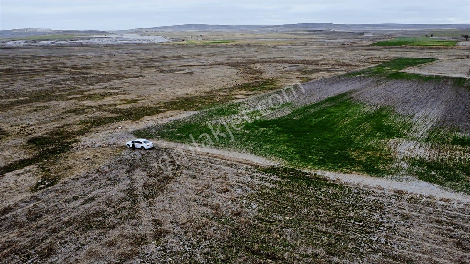 Eskişehir Sivrihisar Kurtşeyh 2300 Mt Resmi Yol Cephe Sulu Tarla - Görsel 13