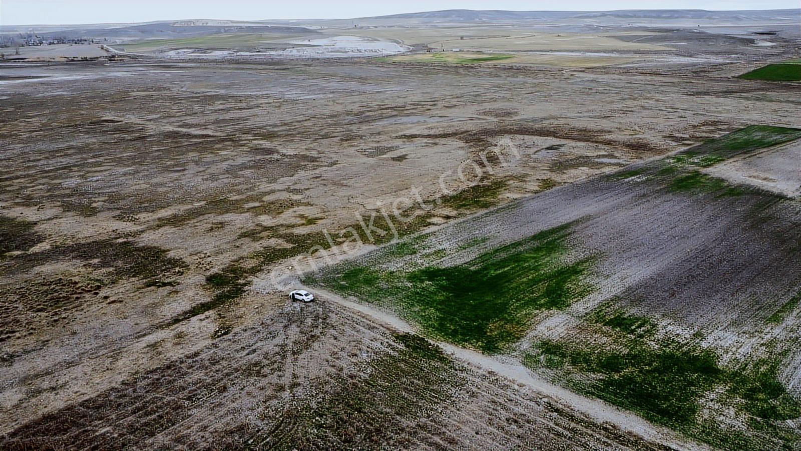 Eskişehir Sivrihisar Kurtşeyh 2300 Mt Resmi Yol Cephe Sulu Tarla - Görsel 17