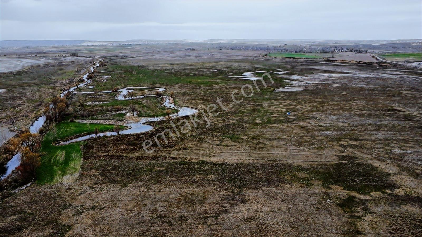 Eskişehir Sivrihisar Kurtşeyh 2300 Mt Resmi Yol Cephe Sulu Tarla - Görsel 7