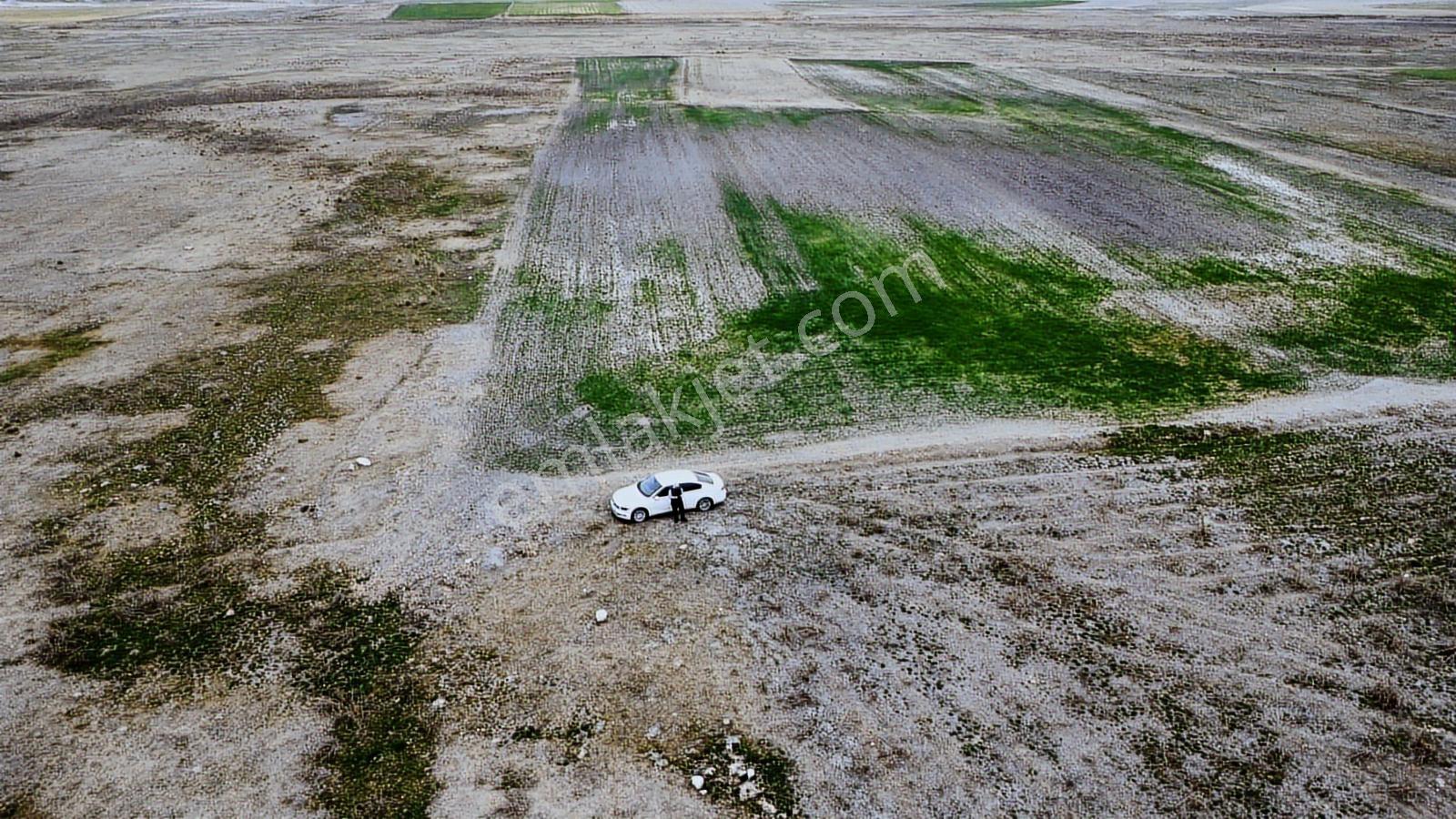 Eskişehir Sivrihisar Kurtşeyh 2300 Mt Resmi Yol Cephe Sulu Tarla - Görsel 12