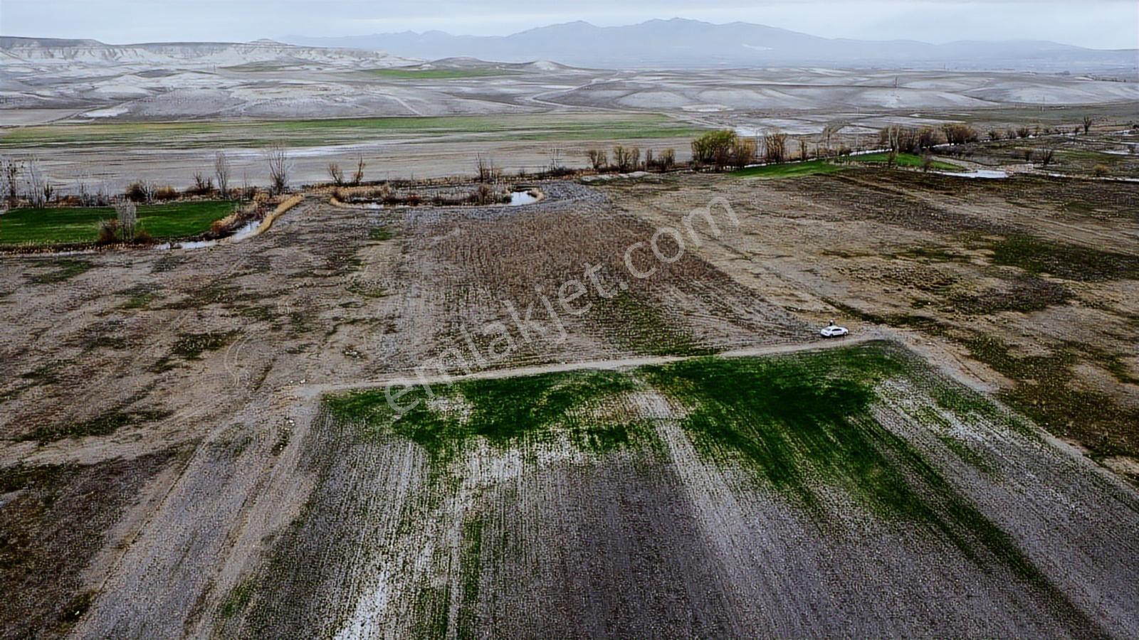 Eskişehir Sivrihisar Kurtşeyh 2300 Mt Resmi Yol Cephe Sulu Tarla - Görsel 11