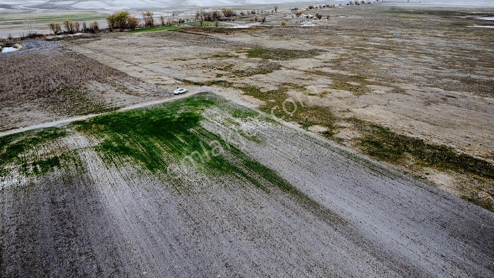 Eskişehir Sivrihisar Kurtşeyh 2300 Mt Resmi Yol Cephe Sulu Tarla - Görsel 14