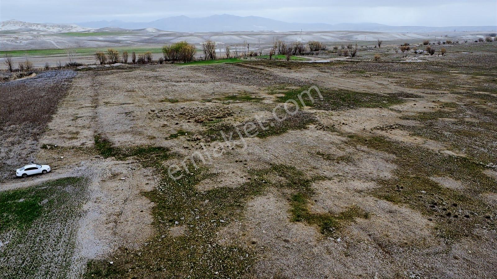 Eskişehir Sivrihisar Kurtşeyh 2300 Mt Resmi Yol Cephe Sulu Tarla - Görsel 21