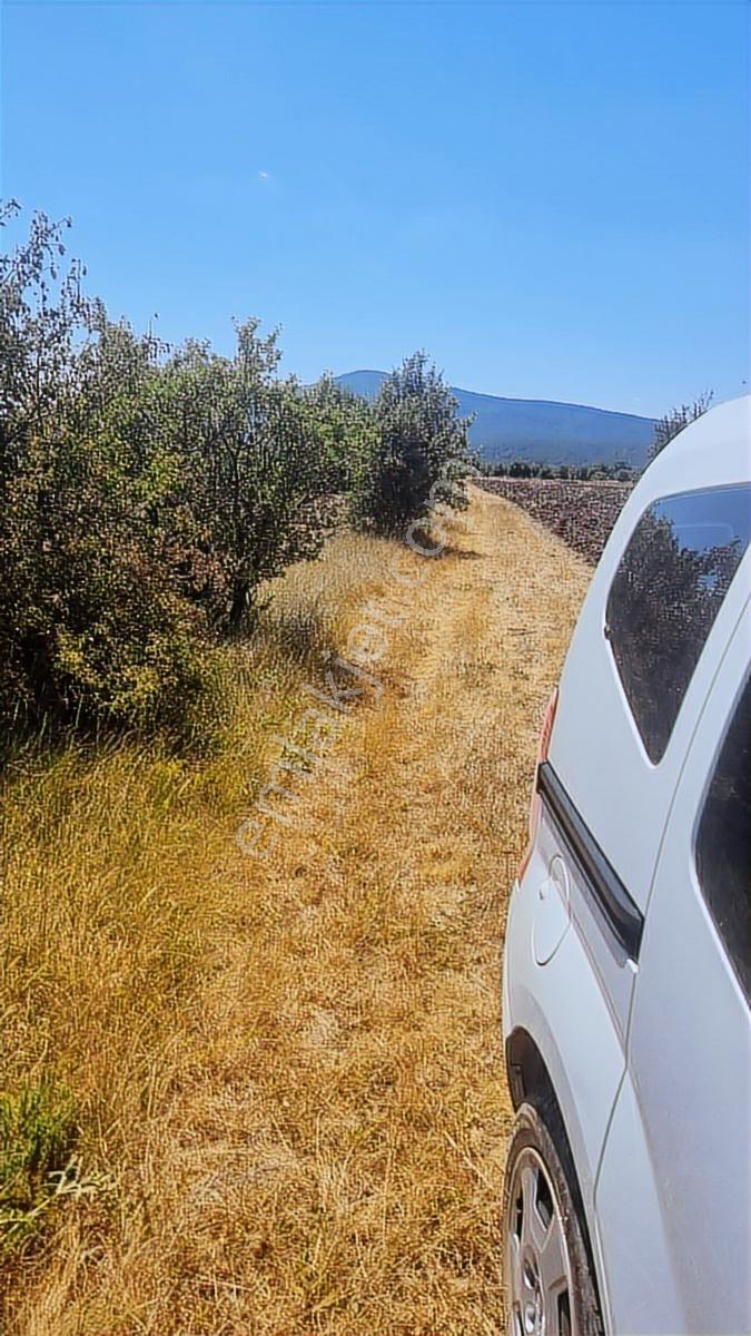 Eskişehir Odunpazarı Demirli Köy 5500m2 Arazi - Görsel 3