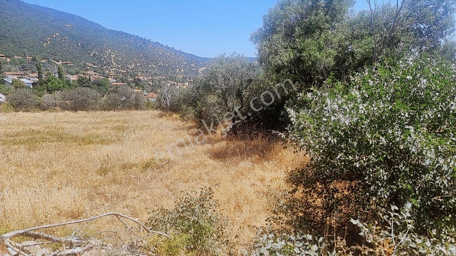 Burdur Merkez 2120m2 Arsa Tamamı Köy Yerleşik Alanında Kalmakta - Görsel 9
