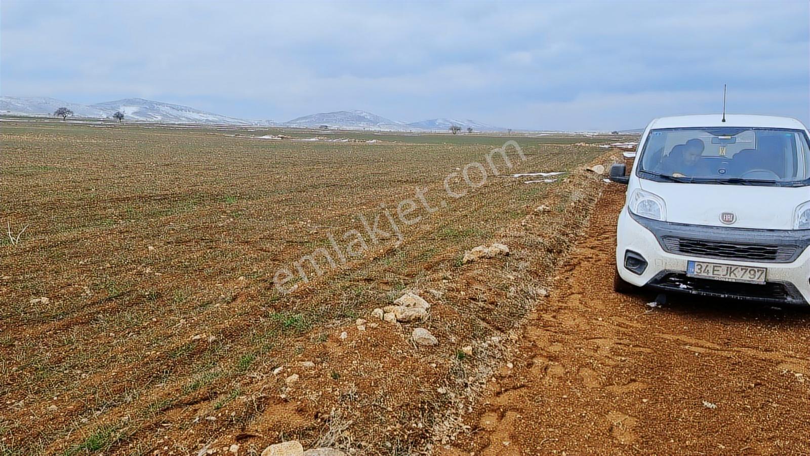 Konya Meram 28820m2 Resmi Yola Cephe Düz Tarım Arazisi - Görsel 6