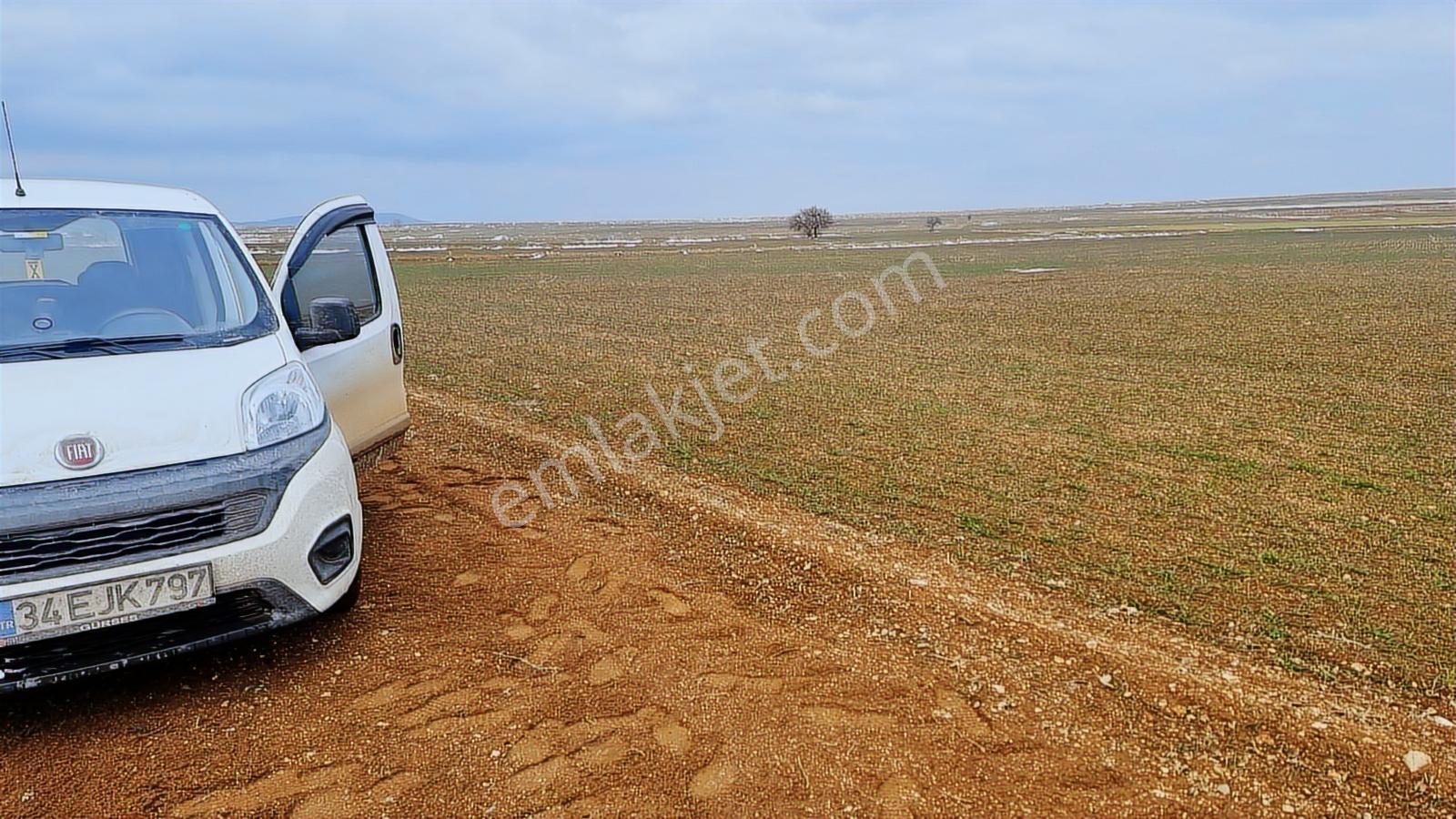 Konya Meram 28820m2 Resmi Yola Cephe Düz Tarım Arazisi