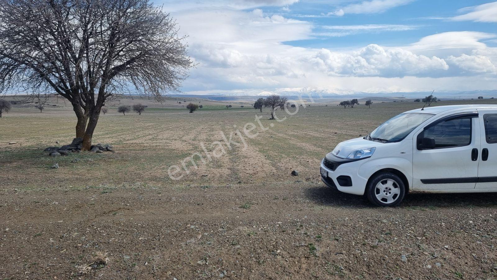 Nigde Merkez Edikli Beldesi 8970m2 Arazi - Görsel 3