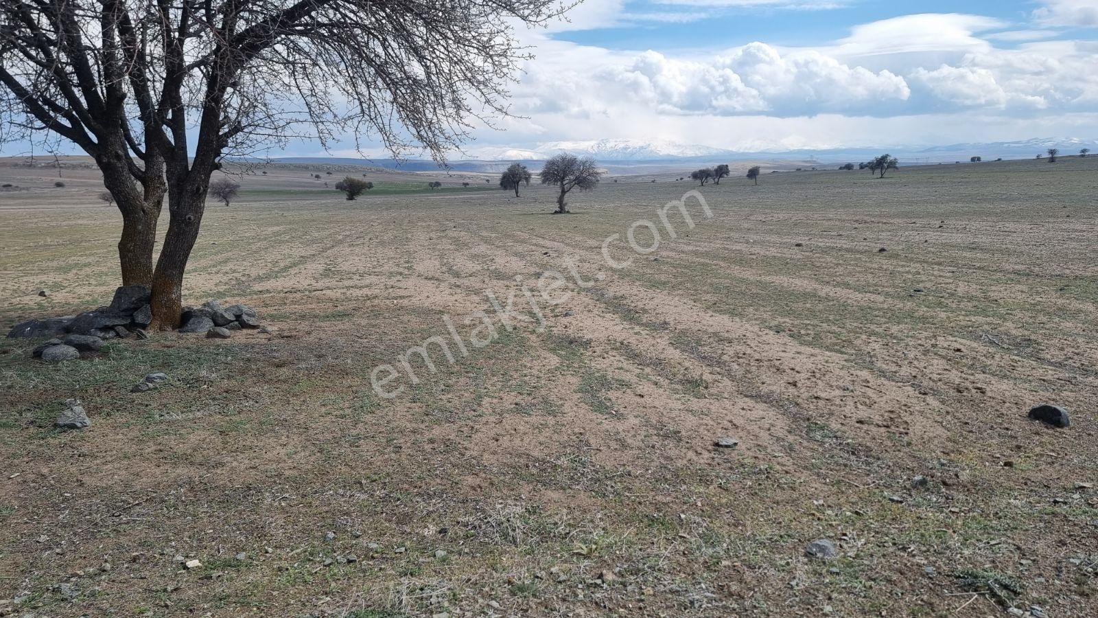 Nigde Merkez Edikli Beldesi 8970m2 Arazi - Görsel 6