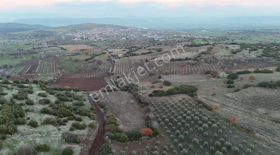 Manisa Kula Körez Mah Resmi Yola Cepheli 3200 Metre Bağ Yeri - Görsel 9