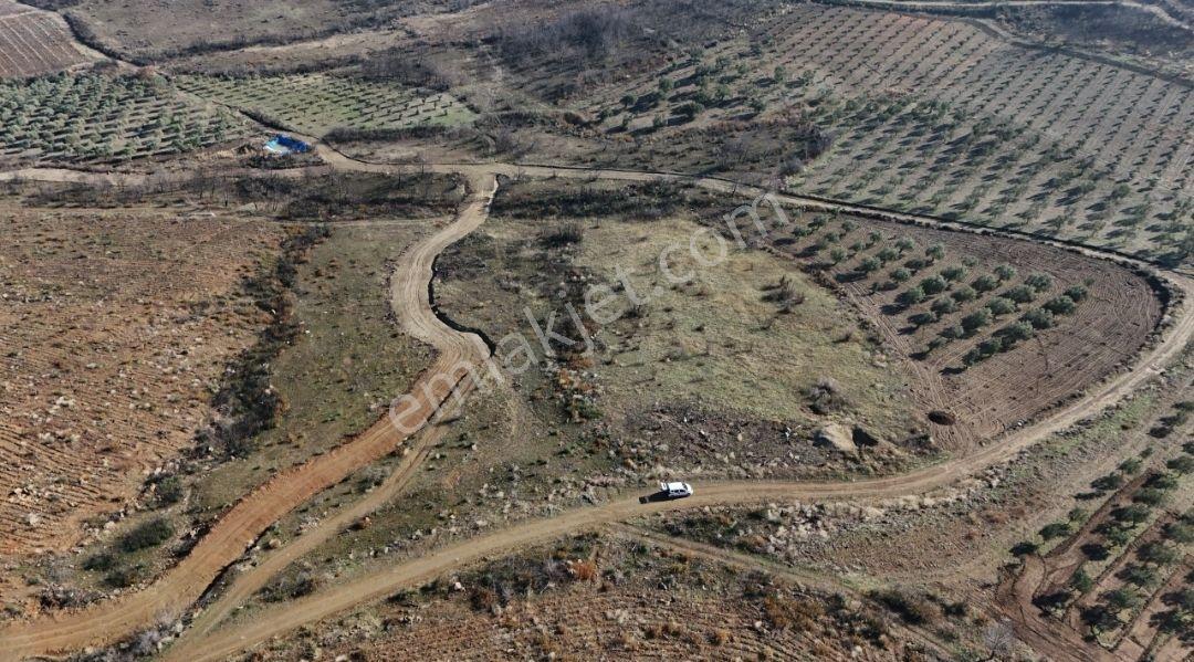 Manisa Kula Körez Mah Resmi Yola Cepheli 3200 Metre Bağ Yeri - Görsel 12