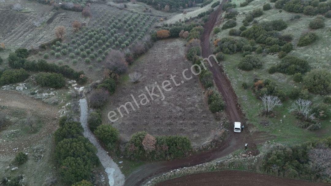 Manisa Kula Körez Mah Resmi Yola Cepheli 3200 Metre Bağ Yeri - Görsel 11
