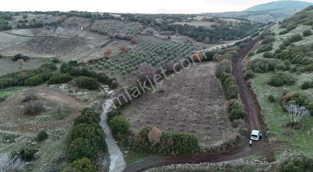 Manisa Kula Körez Mah Resmi Yola Cepheli 3200 Metre Bağ Yeri - Görsel 13