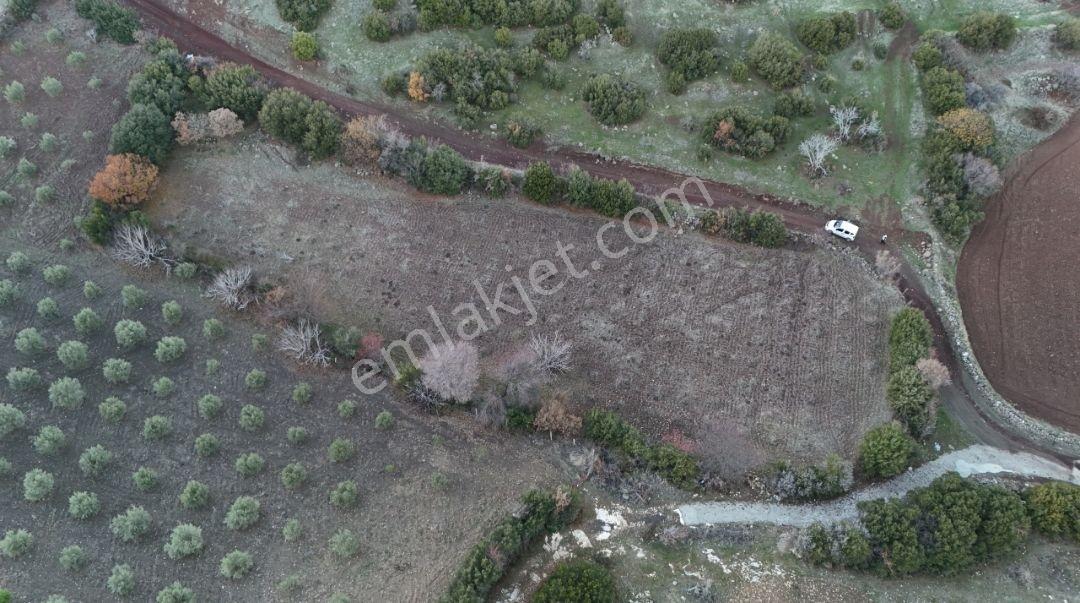 Manisa Kula Körez Mah Resmi Yola Cepheli 3200 Metre Bağ Yeri - Görsel 14