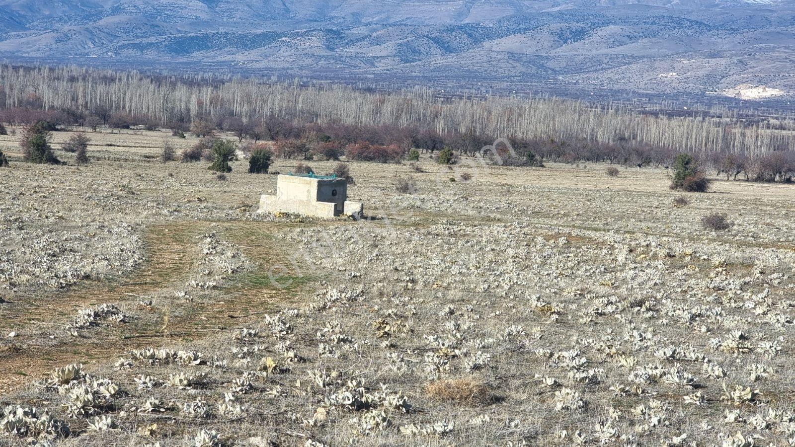 Isparta Senirkent Ortayazı 3480m2 Köye Yakın Resmi Yolu Var Sulu - Görsel 4