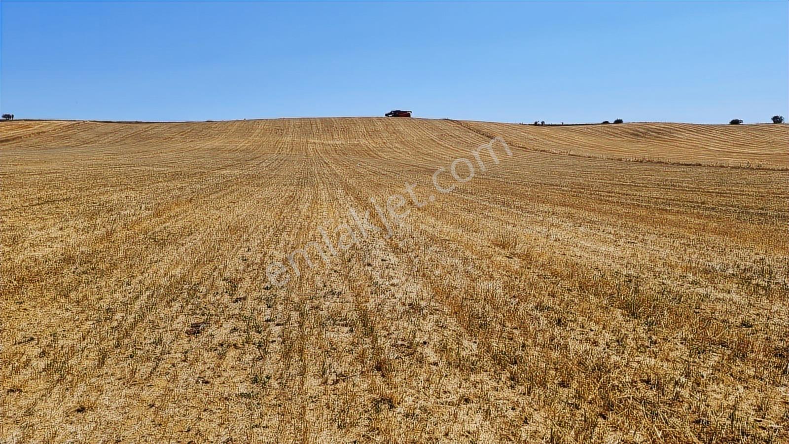 Afyonkarahisar İscehisar Tepecik Mahallesi 5267m2 Arazi - Görsel 2