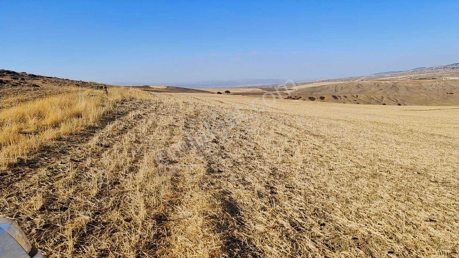 Afyonkarahisar İscehisar Tepecik Mahallesi 5267m2 Arazi - Görsel 3