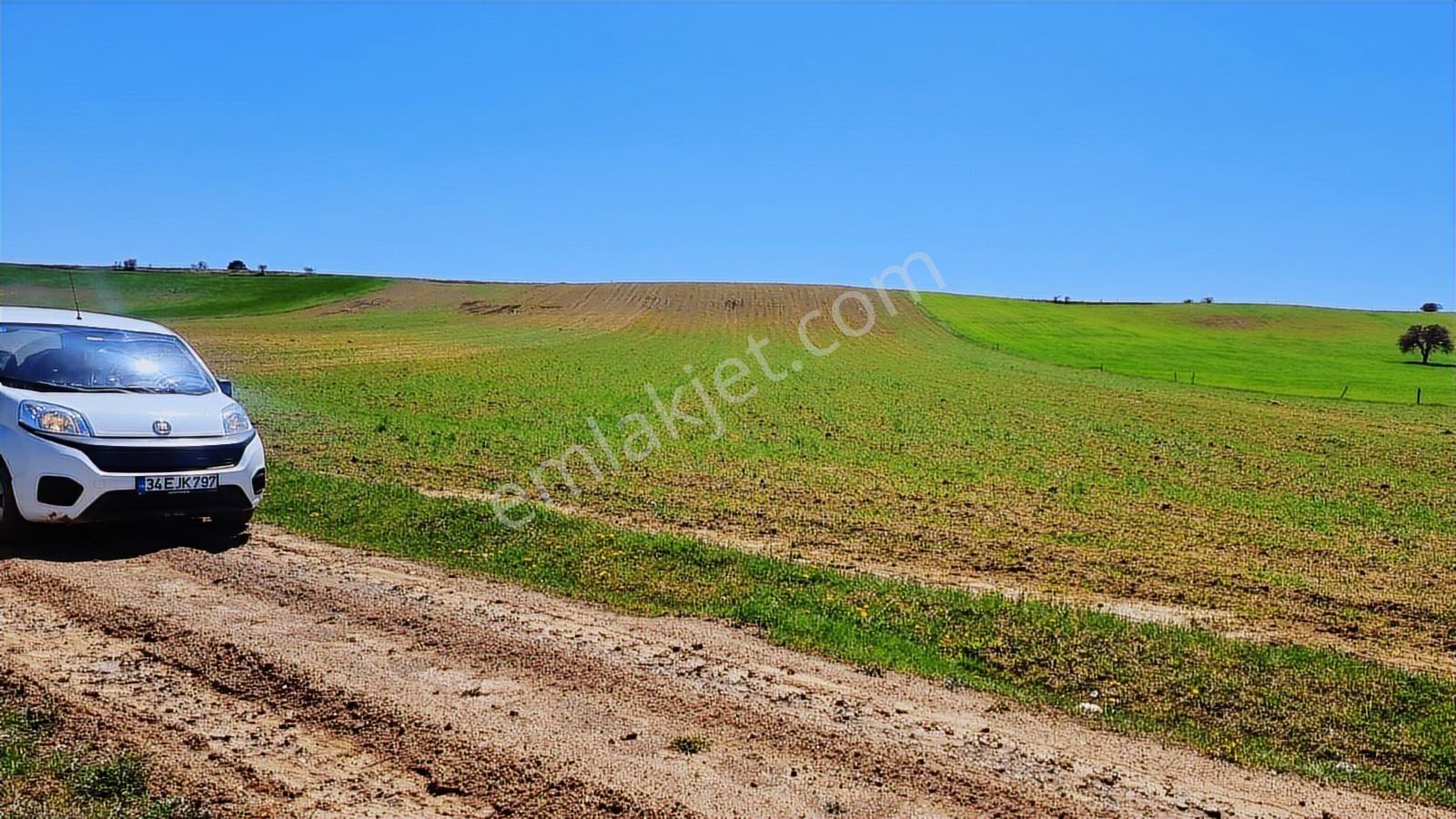 Afyonkarahisar İscehisar Tepecik Mahallesi 5267m2 Arazi