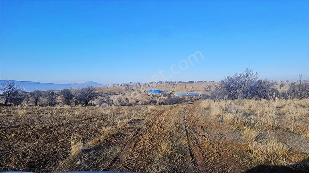 Burdur Merkez Kışla Mah. 2.955 M2 Fırsat Tarla - Görsel 8