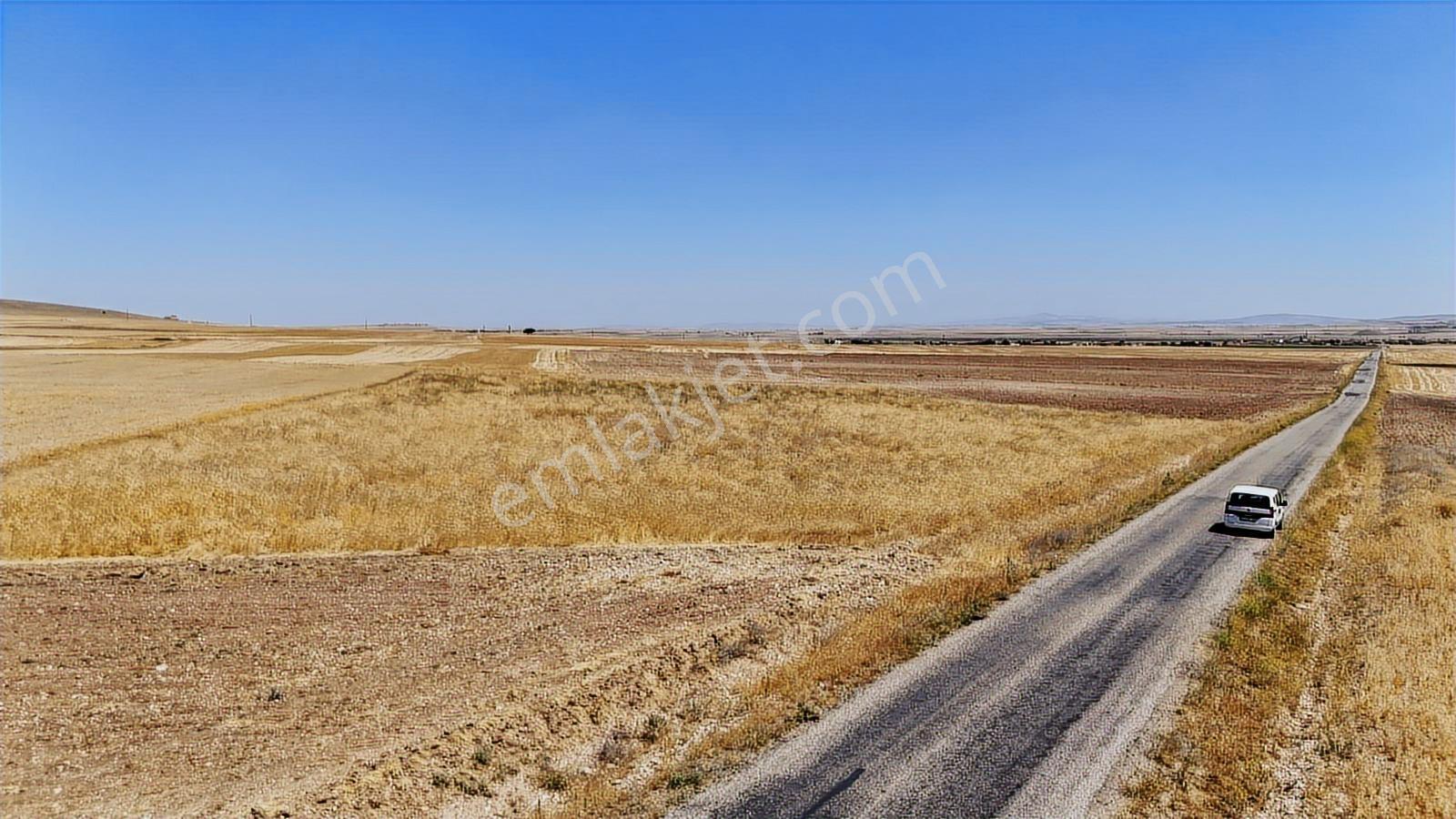 Kırşehir Mucur Kıran Asfalt Cephe Fırsat 11620 M2 Arazi - Görsel 9