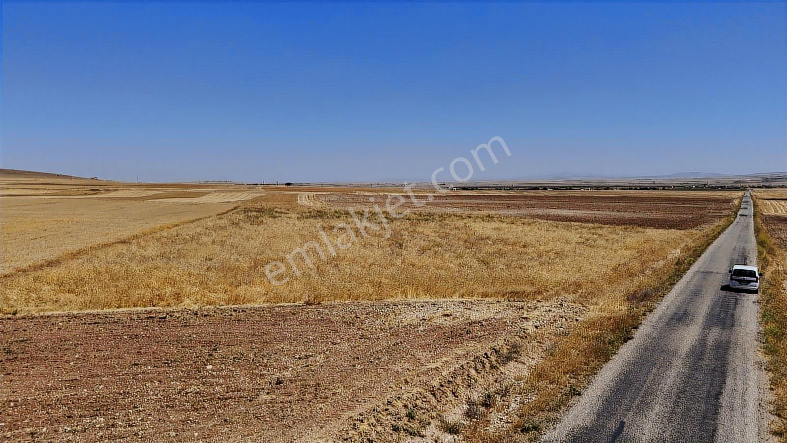 Kırşehir Mucur Kıran Asfalt Cephe Fırsat 11620 M2 Arazi - Görsel 4