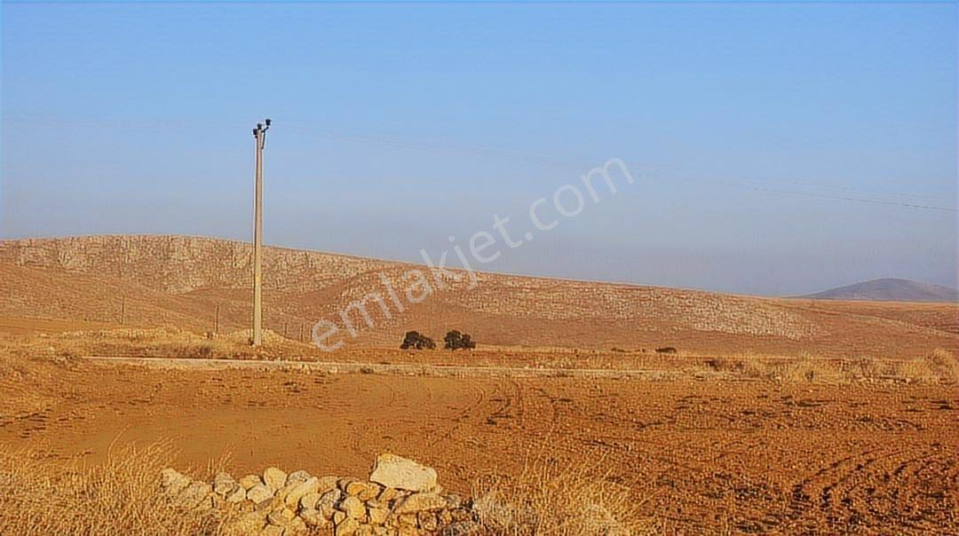 Afyonkarahisar Emirdağ Leylekli 5.312 M2 Yola Cepheli Tarla - Görsel 12