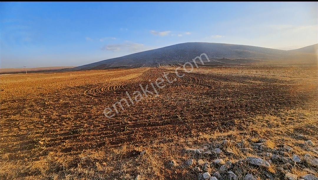 Afyonkarahisar Emirdağ Leylekli 5.312 M2 Yola Cepheli Tarla - Görsel 15