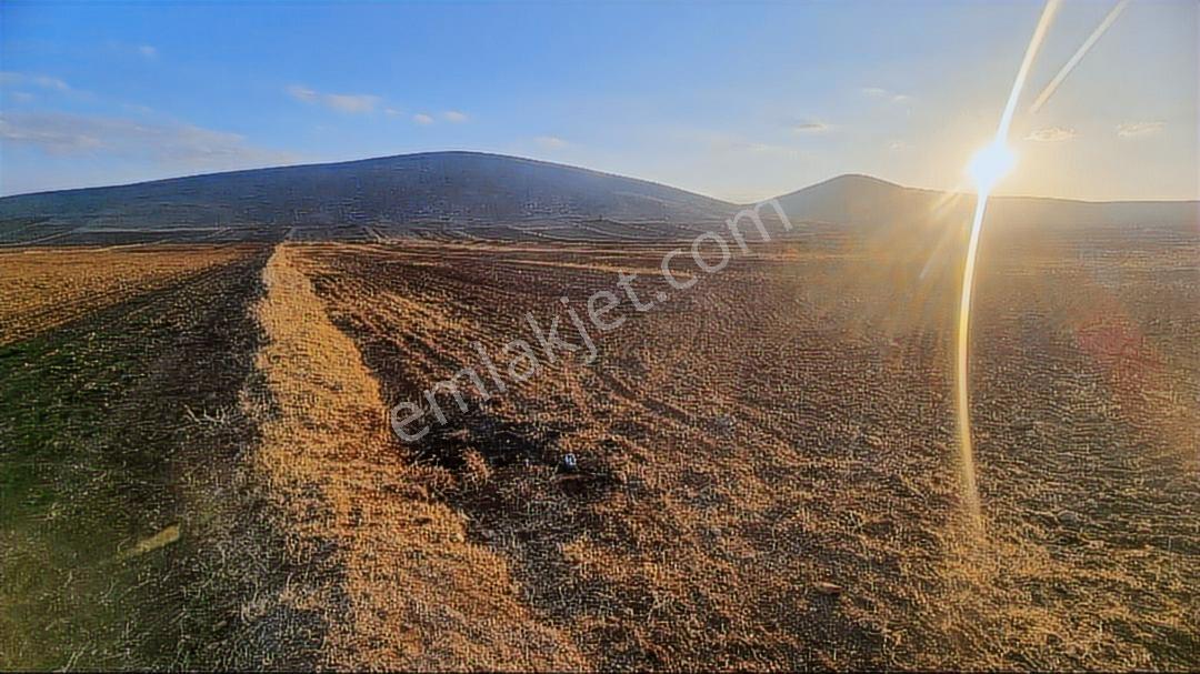 Afyonkarahisar Emirdağ Leylekli 5.312 M2 Yola Cepheli Tarla - Görsel 14