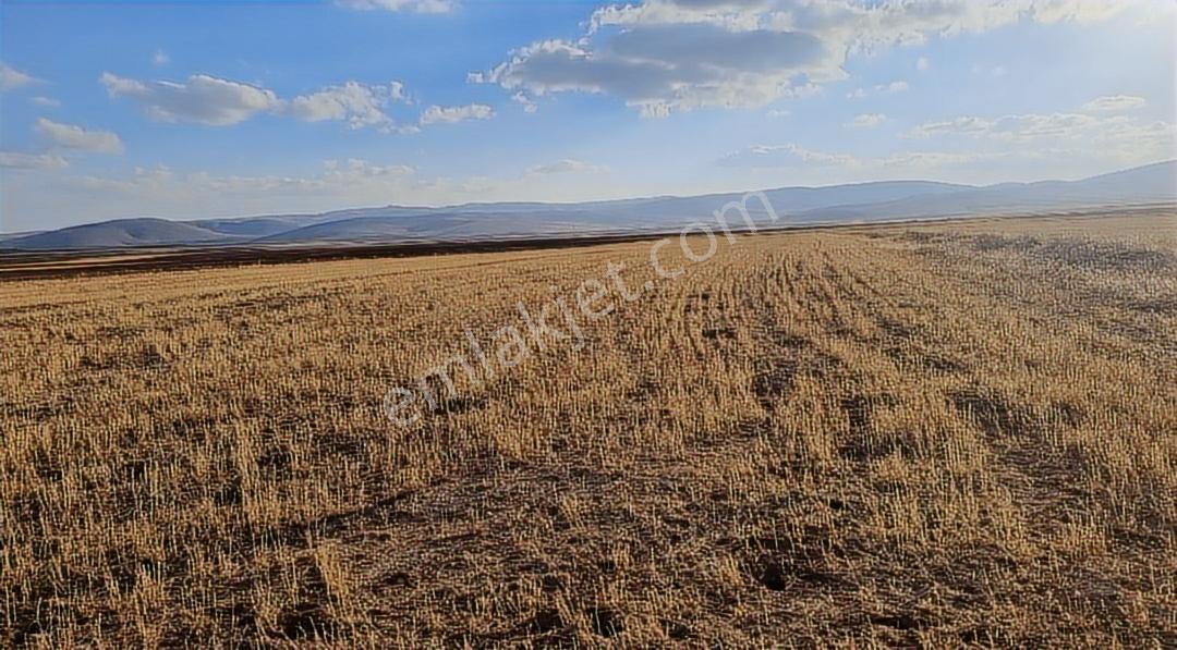 Afyonkarahisar Emirdağ Leylekli 5.312 M2 Yola Cepheli Tarla - Görsel 7