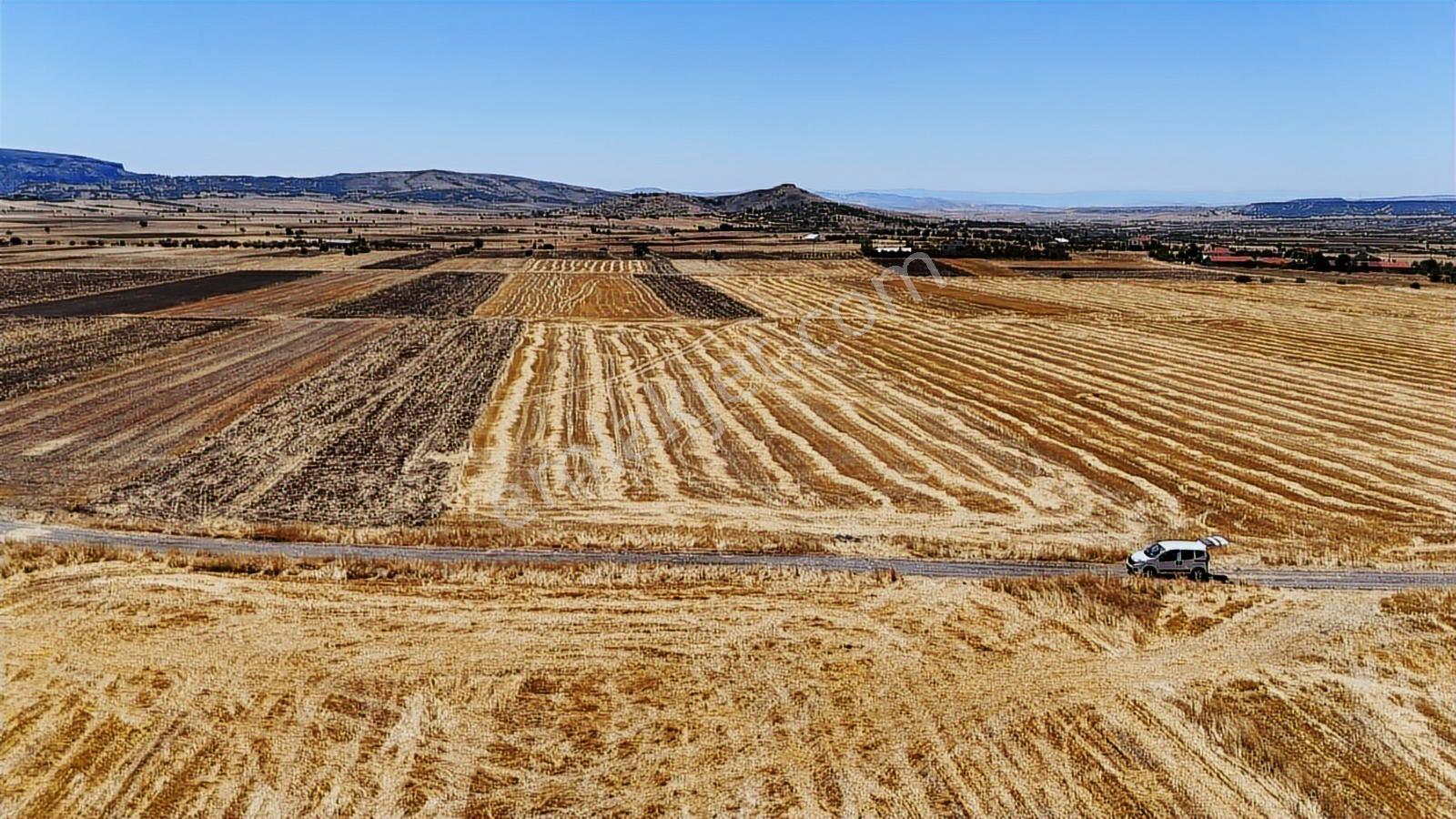 Ankara Beypazarı Uruş 3643 M2 İmardibi Tarla - Görsel 17