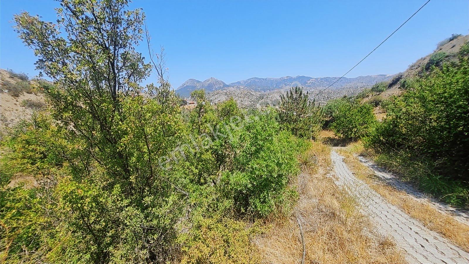 Çorum İskilip Merkezde 4900m2 Bağ Vasıflı Fırsat Arazi - Görsel 5
