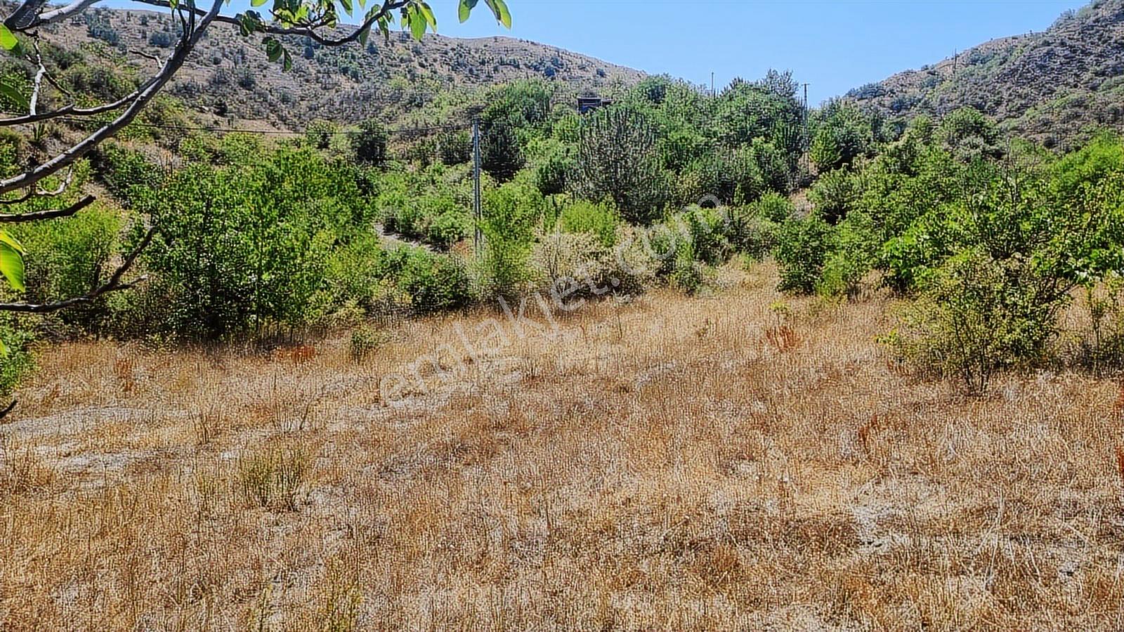 Çorum İskilip Merkezde 4900m2 Bağ Vasıflı Fırsat Arazi - Görsel 18