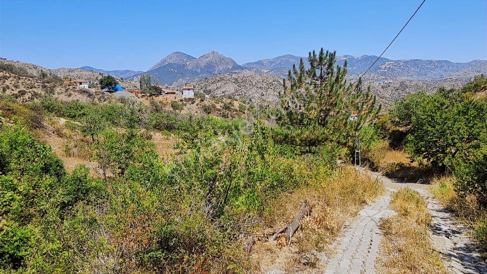 Çorum İskilip Merkezde 4900m2 Bağ Vasıflı Fırsat Arazi - Görsel 20